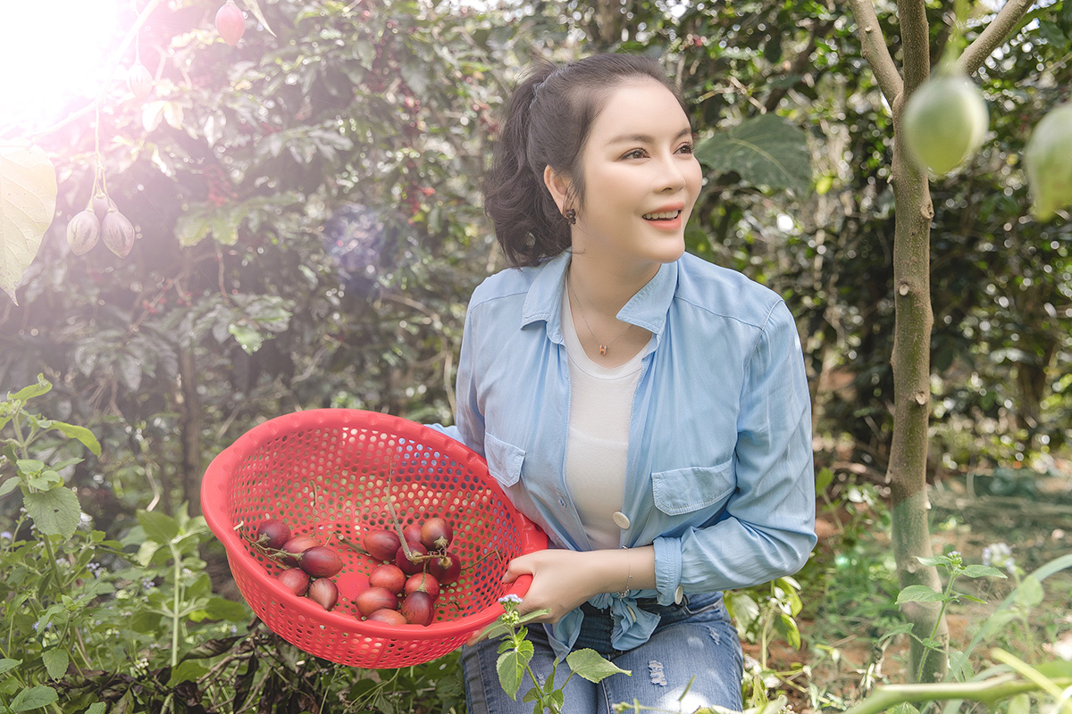Lý Nhã Kỳ giản dị tự tay thu hoạch vườn cà chua và xà lách trên nông trại ở Đà Lạt