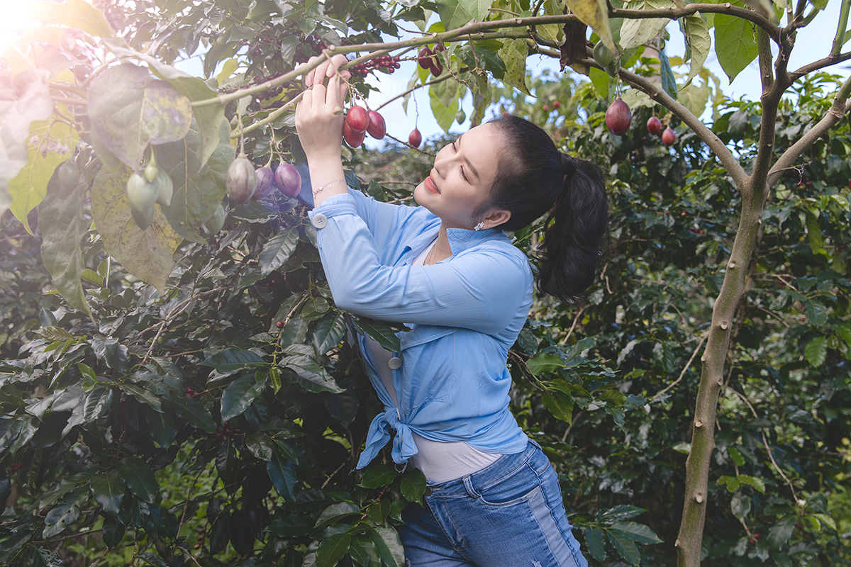 Lý Nhã Kỳ giản dị tự tay thu hoạch vườn cà chua và xà lách trên nông trại ở Đà Lạt