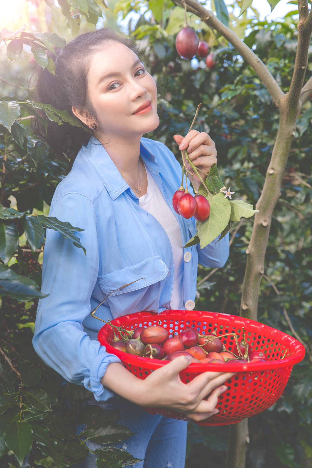 Lý Nhã Kỳ giản dị tự tay thu hoạch vườn cà chua và xà lách trên nông trại ở Đà Lạt