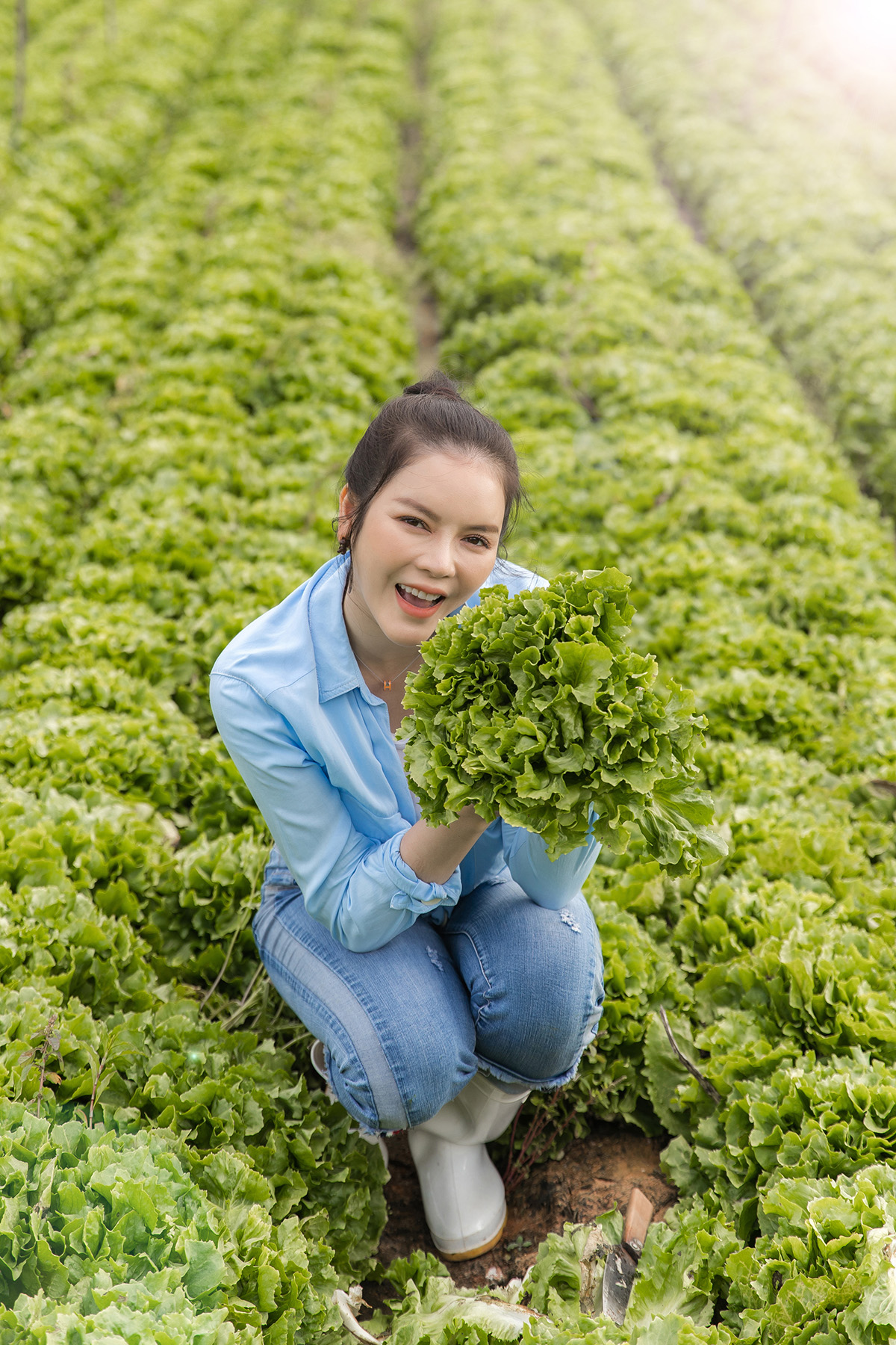 Lý Nhã Kỳ giản dị tự tay thu hoạch vườn cà chua và xà lách trên nông trại ở Đà Lạt