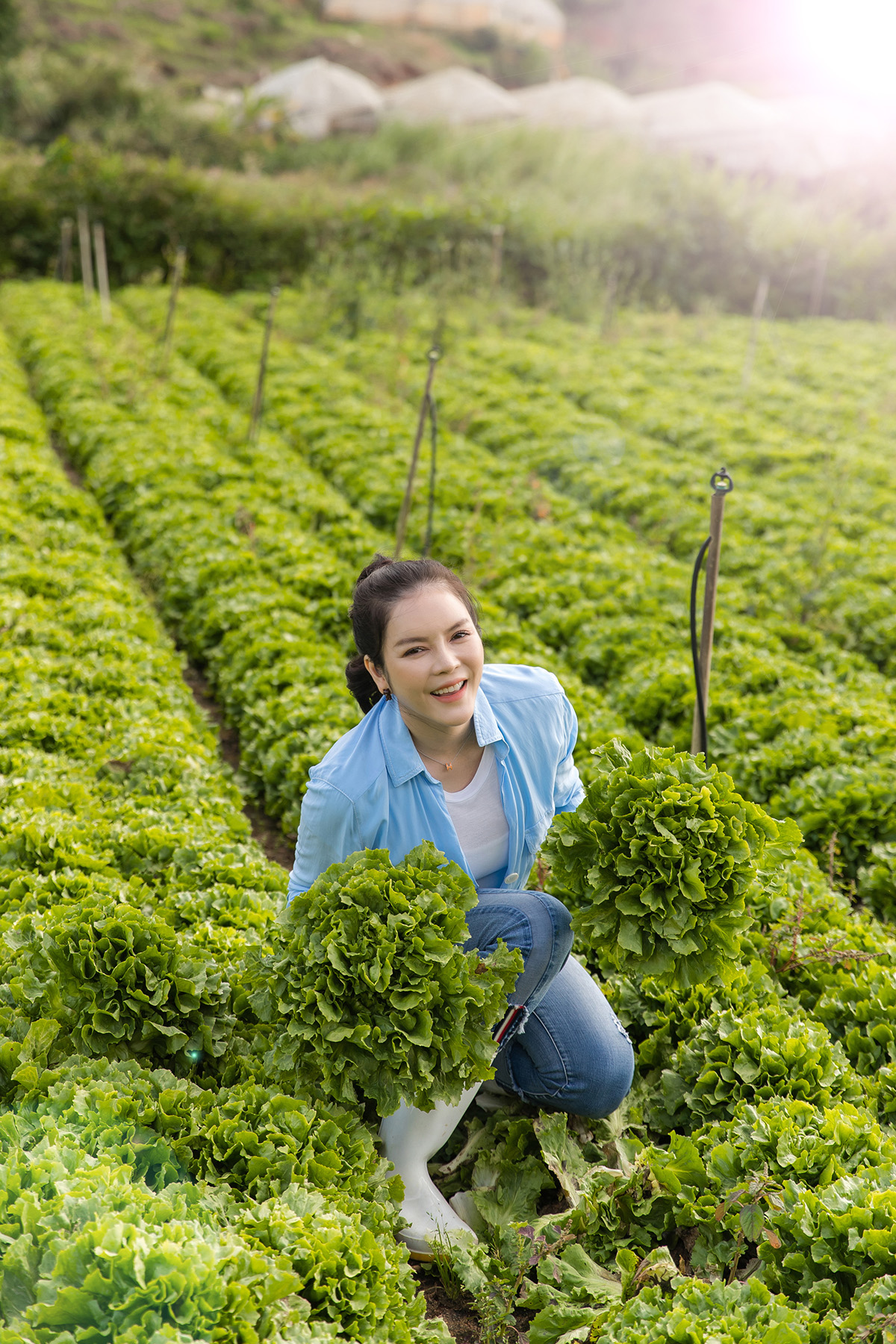 Lý Nhã Kỳ giản dị tự tay thu hoạch vườn cà chua và xà lách trên nông trại ở Đà Lạt
