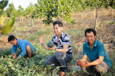 Ngọc Sơn về “Đà Lạt thu nhỏ” trồng rau nuôi cá